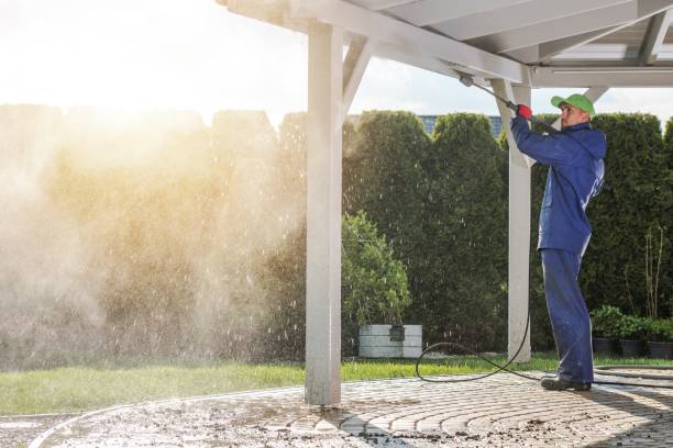 Best Spring Cleaning  in Town And Country, WA