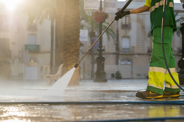 Boat and Dock Cleaning in Town And Country, WA